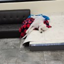 안녕, 상이 친구들! 이미지