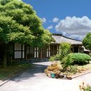 신촌향사 이미지