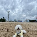 에이스골프스쿨 이미지