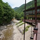 금산산림문화타운 이미지