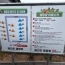 해간도캠핑장 이미지