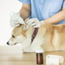 이로동물의료센터 이미지