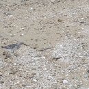 석문마을회관 Daum카페
