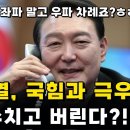 윤석열, 자기 지지한 극우들도 통수?! 이미지