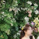 희컴퍼니 | [헤어변형] 희뷰티 헤어변형 후기