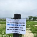 탄천변(탄천우안) 이미지