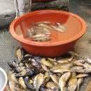 근남농협 이미지