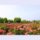 곡성-086 이미지