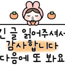 조안테디베어파라다이스시티점