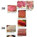 참치여라