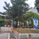 스파아일랜드 이미지