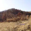전원농산지점
