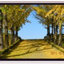 광시중학교 이미지