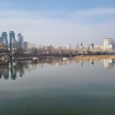 신천동로 이미지