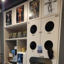 골든몽키짐(GYM) | 골든몽키짐 2호점 플래티넘SKY / 일일권 / 2025.07.19