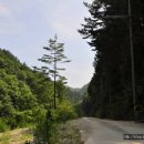 소광리민박 이미지