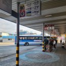 세븐일레븐홍천점 | 홍천터미널 방문후기, 설날 시외버스 타기 전 알아두면 좋은 점