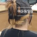 밀가미용실 - 강서구 | 밀가미용실