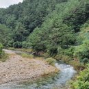 현동교 아래 이미지