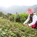 원스톱행정사 이미지