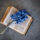 문학서적 이미지