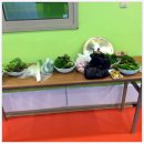 태양태권도체육관 이미지