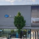 에이스침대에이스스퀘어강릉점 이미지