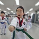 베스트 연세 태권도 이미지