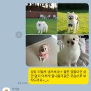 아지멍 이미지