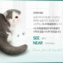 시니어 동물병원 이미지