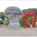 바래봉길 이미지