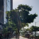 상록그린힐 이미지