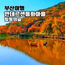 [행복한학교]행복한 어른을 위한 그림동화 마음코칭 | 기장 안데르센 동화마을 단풍 구경 부산 가족 여행 가볼만한곳