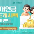 수협 앞 교통섬 이미지