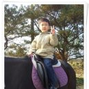 2013년 10월 26일 ~ 27일 승마체험이 가능한 용인 해두리캠핑장
