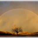 ~~ Somewhere Over The Rainbow - Eva Cassidy 이미지