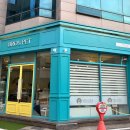 광주 고양이분양 브로스펫 이미지