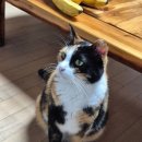 곡란로8번길 이미지