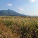 간사지횟집 이미지