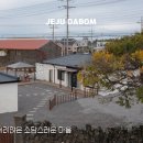 제주스러움 이미지