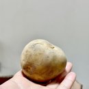 감자 추천 🥔 진가농산 햇감자 2kg로 쪄 먹은 포슬포슬 맛있는 수미감자 후기
