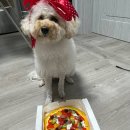 맛있개 먹었냥 이미지