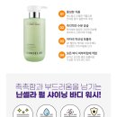 닌셀라(niinselah)