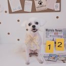 한송이 미용실 이미지