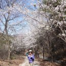 자진뱅이길 이미지