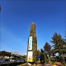 [대전] 유성 유림공원 국화꽃축제 이미지