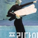 다이빙플러스 이미지