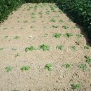 진잠도서관 이미지