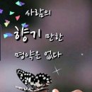 샬롬 이미지