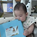 [책육아] 우리 아기 첫 전집, 프뢰벨토탈시스템! (feat. 프뢰벨 토탈 앰버서더 3기)